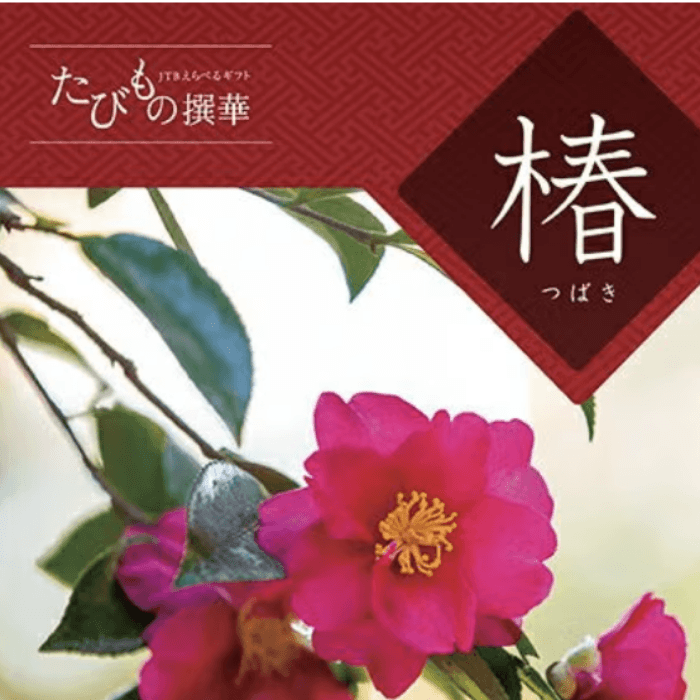 たびもの撰華【椿（つばき）】