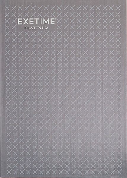 エグゼタイムプラチナム星30